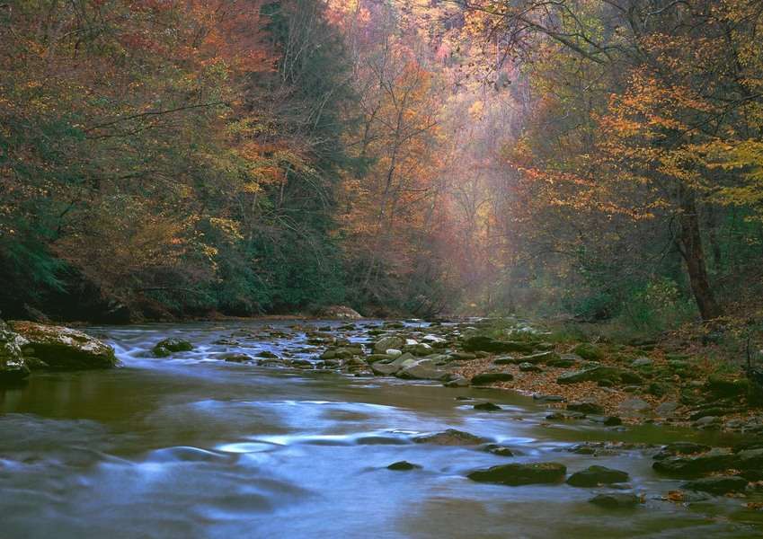 Autumn Along Little River, Great Smoky Mountains National Park, Tennessee : The East :  Jim Messer Photography