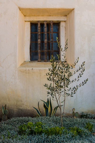 Window and Flora, Mission San Juan Bautista, California : Mission San Juan Bautista :  Jim Messer Photography