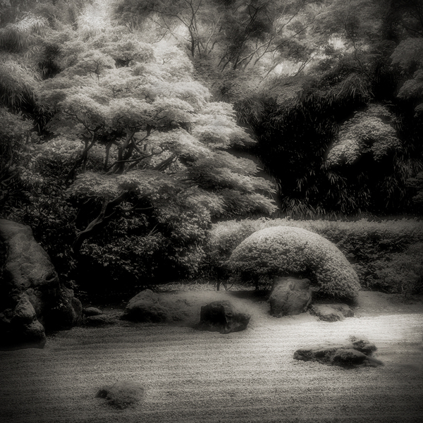 Zen Garden, Japanese Tea Garden, San Francisco, California : Nature In Monochrome :  Jim Messer Photography