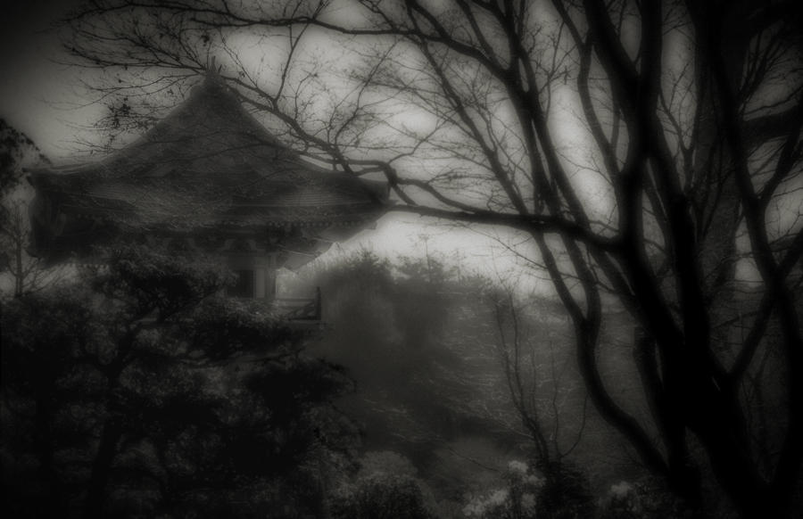 Pagoda and Trees : Last Light/First Light :  Jim Messer Photography