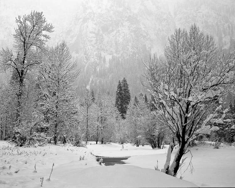 Yosemite Snowstorm #1, Yosemite National Park, California : Nature In Monochrome :  Jim Messer Photography