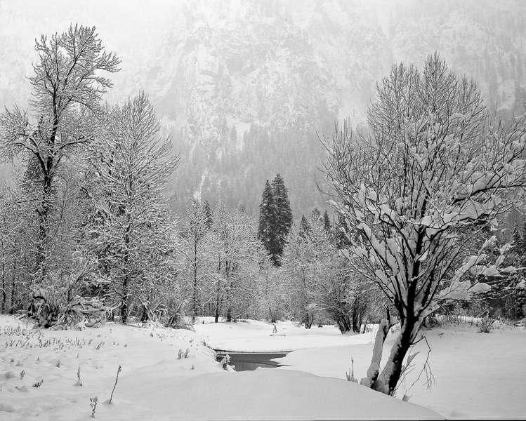 Yosemite Snowstorm #1, Yosemite National Park, California : Nature In Monochrome :  Jim Messer Photography