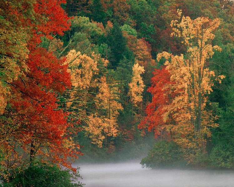 Mist Over Lake, Hungry Mother State Park, Virginia : The East :  Jim Messer Photography