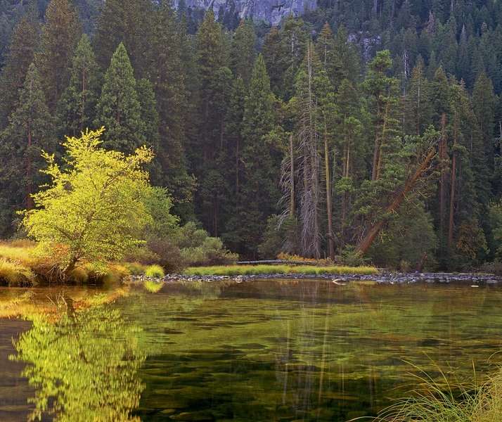 River Reflections, Yosemite National Park, California : The West :  Jim Messer Photography