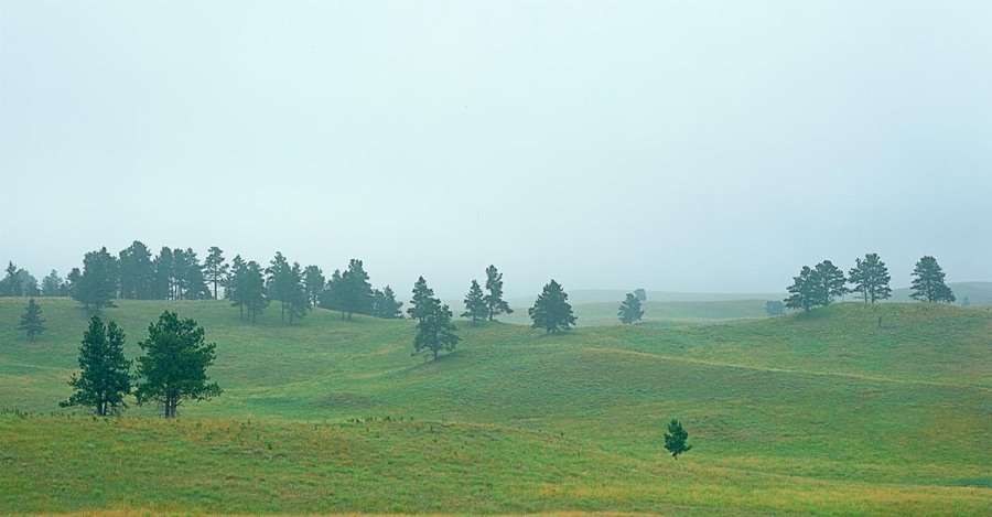 Grasslands and Morning Mist, Wind Cave National Park, South Dakota : The West :  Jim Messer Photography