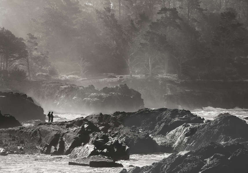 Contemplation, Point Lobos State Reserve, California : Nature In Monochrome :  Jim Messer Photography
