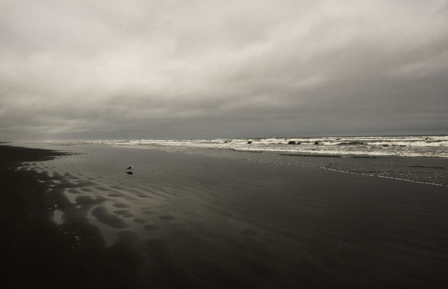 Seascape, Clam Beach, California : The West :  Jim Messer Photography