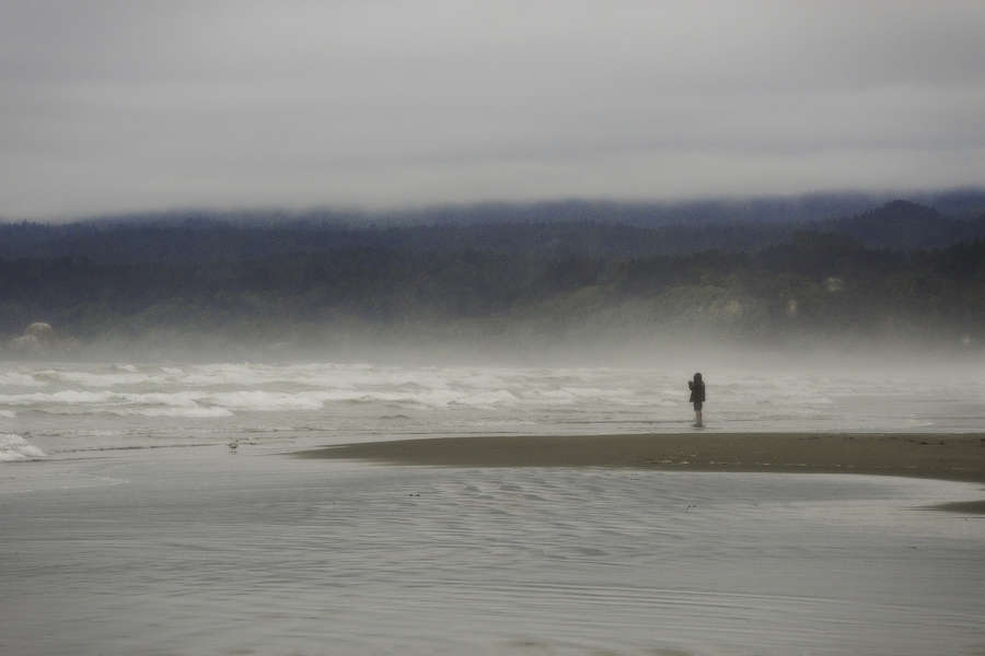 The Photographer
Clam Beach State Park, California : The West :  Jim Messer Photography