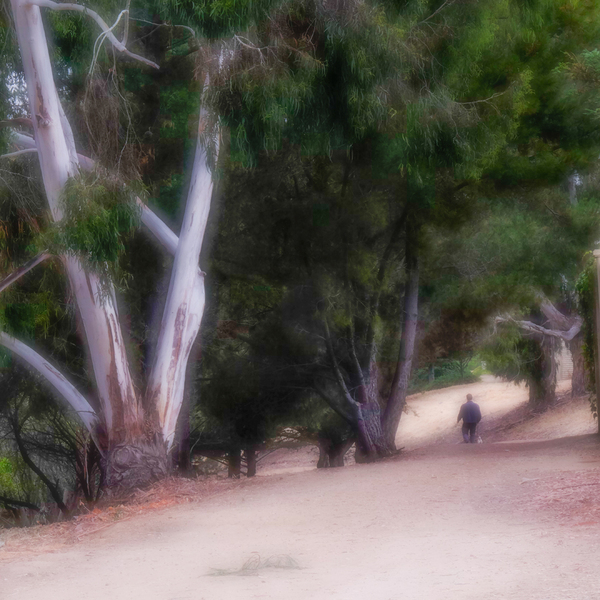 Man and Dog on Path Color, Salinas, California : The Path in Color :  Jim Messer Photography