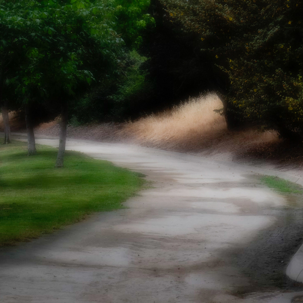 The Path in Morning Light  #2 Color, Salinas, California