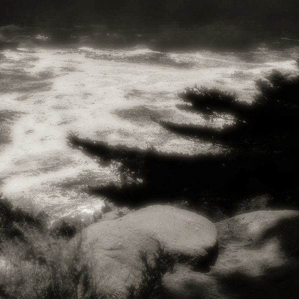 Point Lobos Inlet #2, Point Lobos State Reserve, California : California's Central Coast :  Jim Messer Photography