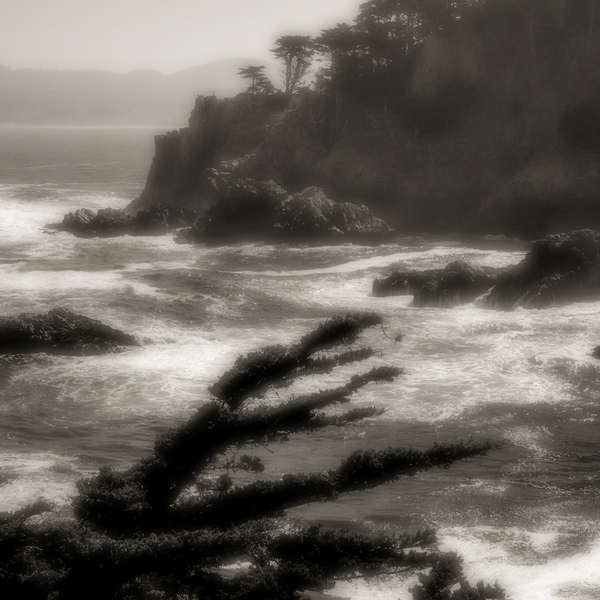 Point Lobos Inlet #1, Point Lobos State Reserve, California : California's Central Coast :  Jim Messer Photography