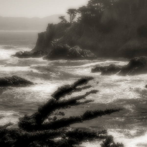 Point Lobos Inlet #1, Point Lobos State Reserve, California : California's Central Coast :  Jim Messer Photography