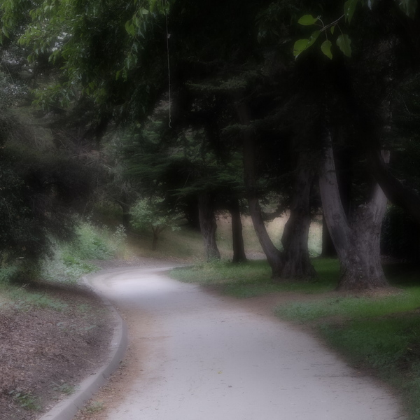 The Path in Morning Light Color, Salinas, California : The Path in Color :  Jim Messer Photography