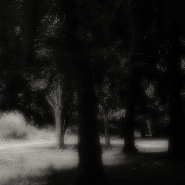 A Curve In The Path, Salinas, California : The Path In Monochrome :  Jim Messer Photography