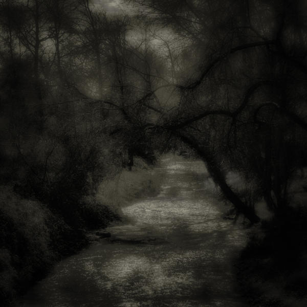 Creek at Dawn : Last Light/First Light :  Jim Messer Photography