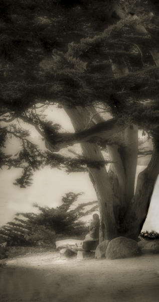 Women, Tree, and Beach : Ponder :  Jim Messer Photography